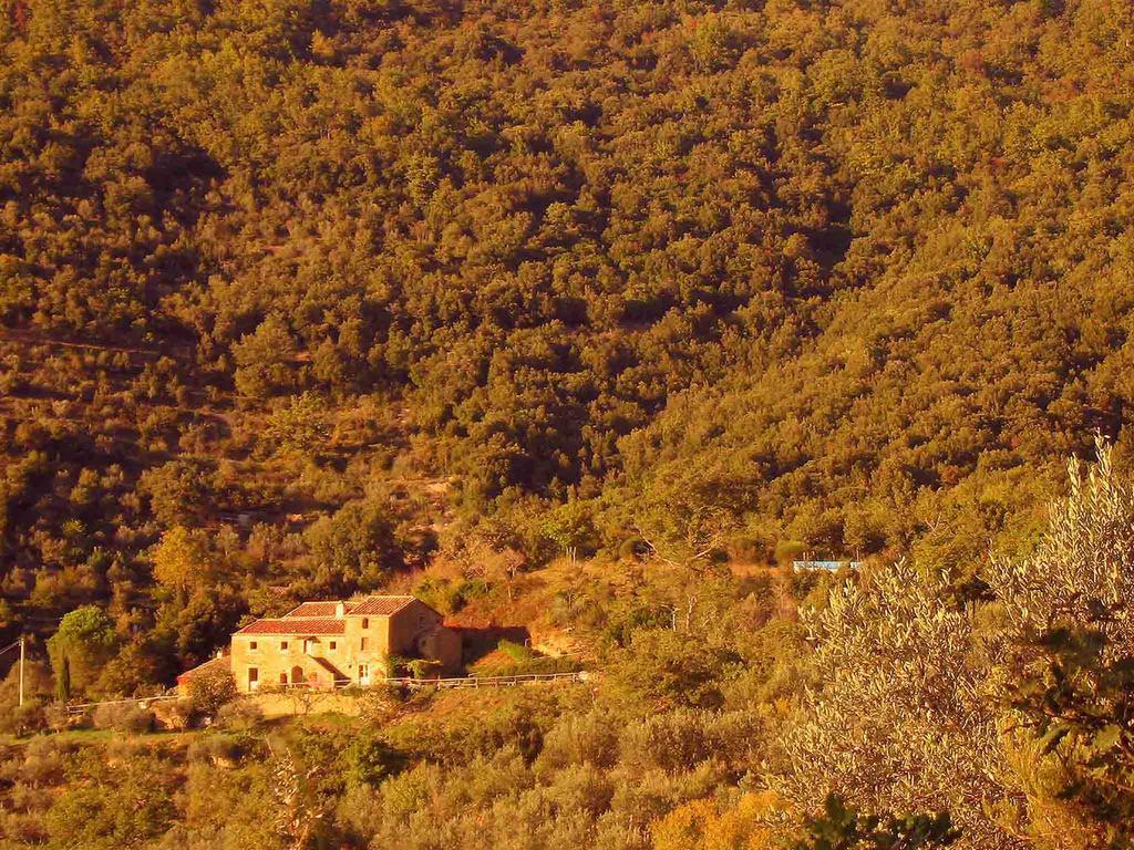 Locanda San Martino A Bocena Cortona Ngoại thất bức ảnh