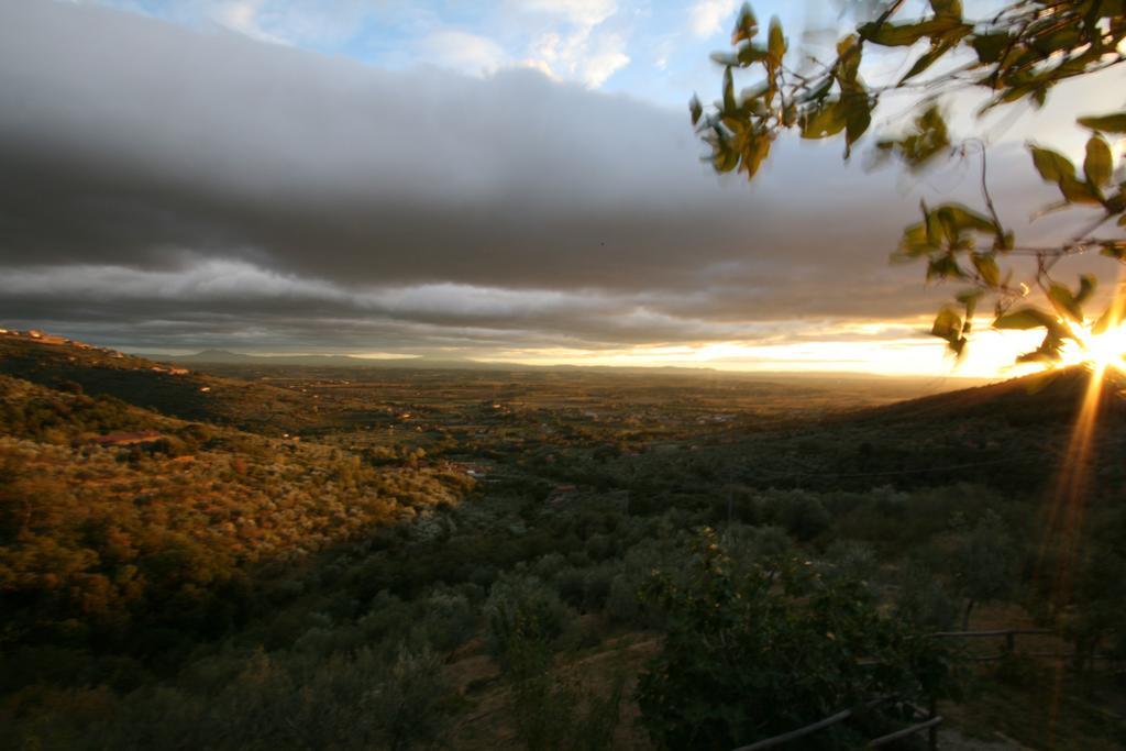 Locanda San Martino A Bocena Cortona Ngoại thất bức ảnh