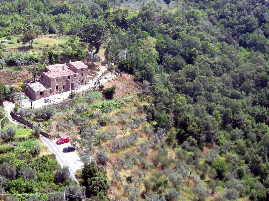 Locanda San Martino A Bocena Cortona Ngoại thất bức ảnh
