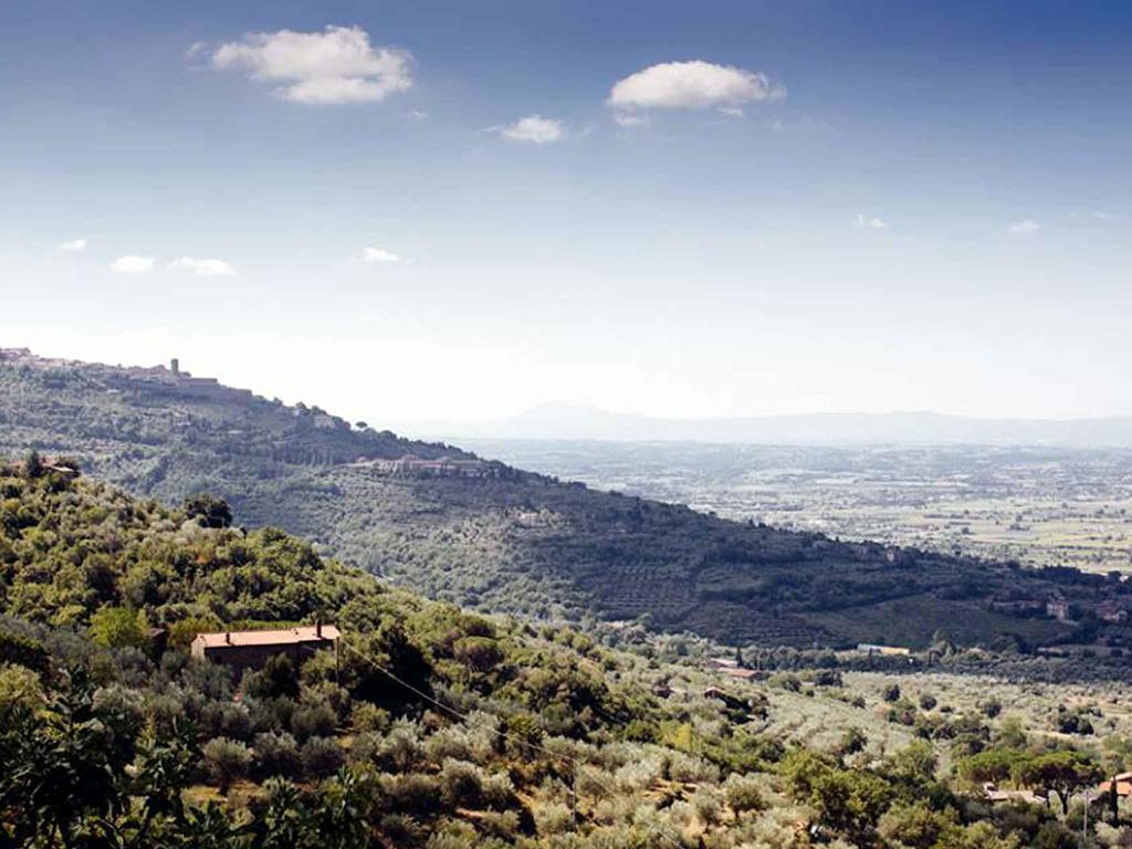 Locanda San Martino A Bocena Cortona Ngoại thất bức ảnh